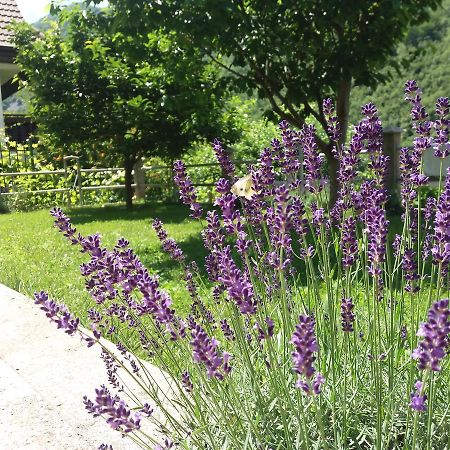 Kuca Lavanda Dreznjak Exterior photo